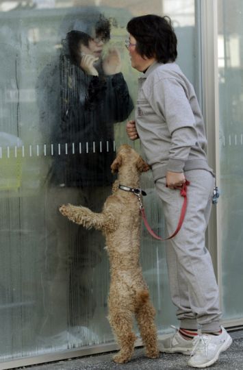 Radiation, Part 3. u201dHere, a mother talks to her daughter, who has been isolation while being checked for signs of radiation in the Fukushima area. The image expresses a variety of fears.u201d Photo by Yuriko Nakao/Reuters, Washington Post