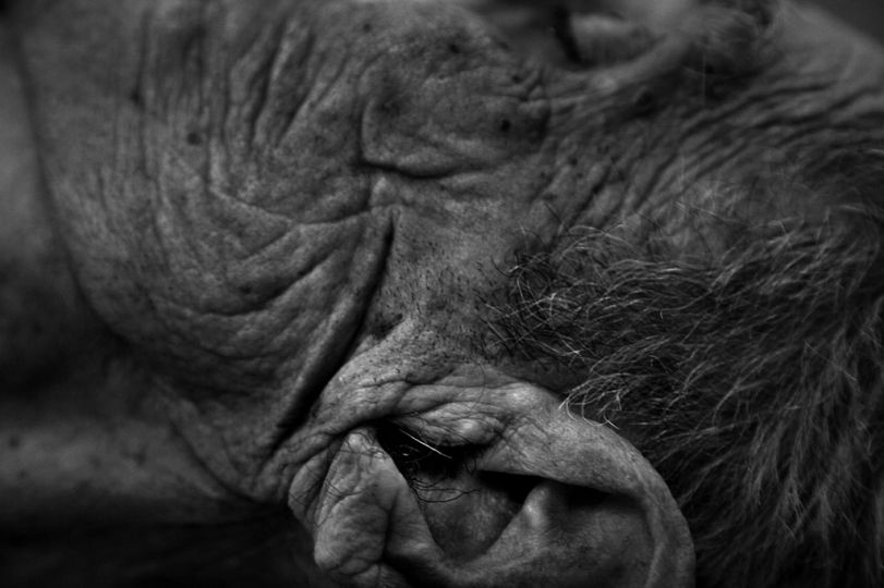 In Fine © Eric Dexheimer / Signatures Maison de Photographes