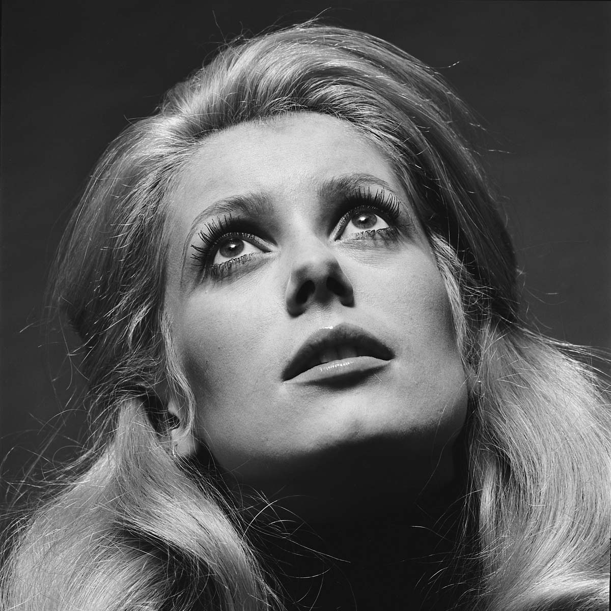 Катрин денев фильмография. Катрин денёв. Катрин Денев (Catherine Deneuve),. Вилли Риццо. Катрин денёв фото.