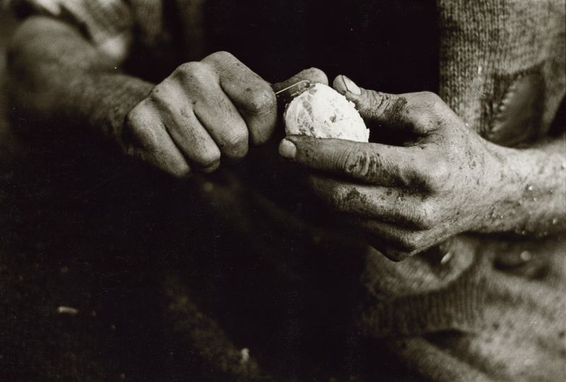 Marcel Imsand, Mains de bucheron © Musée de l'Elysée, Lausanne