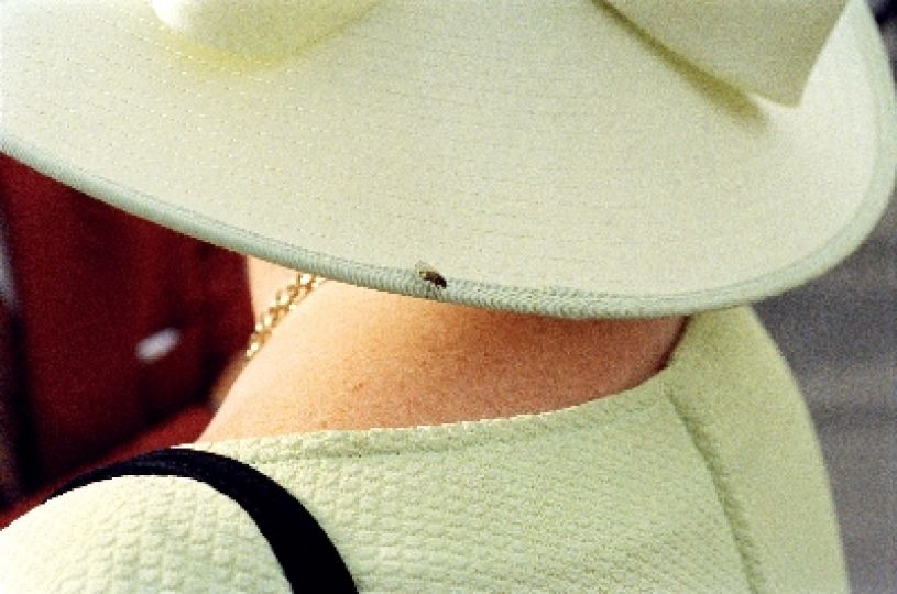 Ireland, Galway, The Galway Races, 1997 © Martin Parr / Magnum Photos