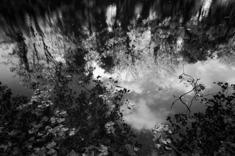 Inerte © Fabrice Domenet