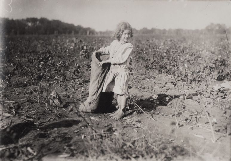 Lewis HINE, Cotton Picker Girl