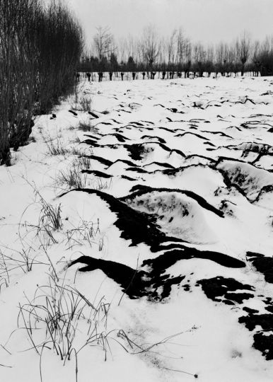 © Fulvio Roiter / Fondazione Fulvio Roiter