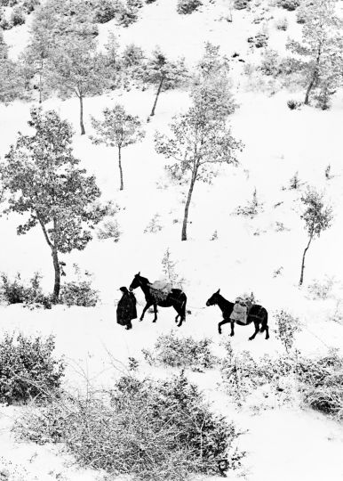 © Fulvio Roiter / Fondazione Fulvio Roiter