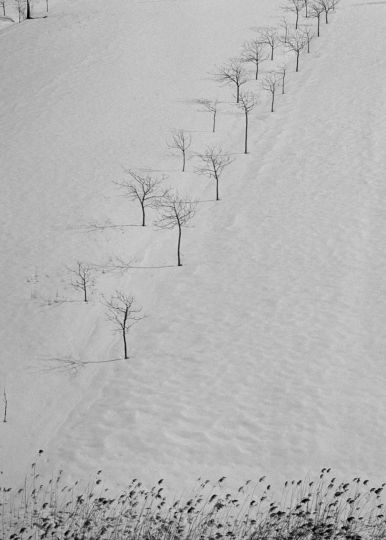 © Fulvio Roiter / Fondazione Fulvio Roiter