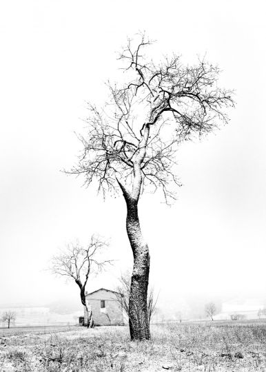 © Fulvio Roiter / Fondazione Fulvio Roiter
