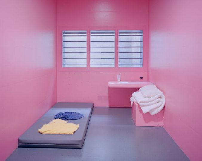 Angélique Stehli Pink Cells, 2013-2017 Tirage contrecollé au mur Avec l'aimable autorisation de l'artiste