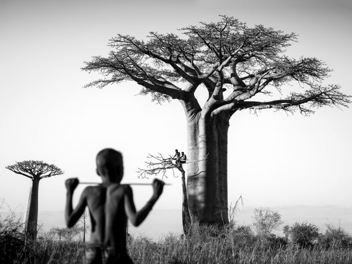 ©Pierrot Men, Morondava, 2017