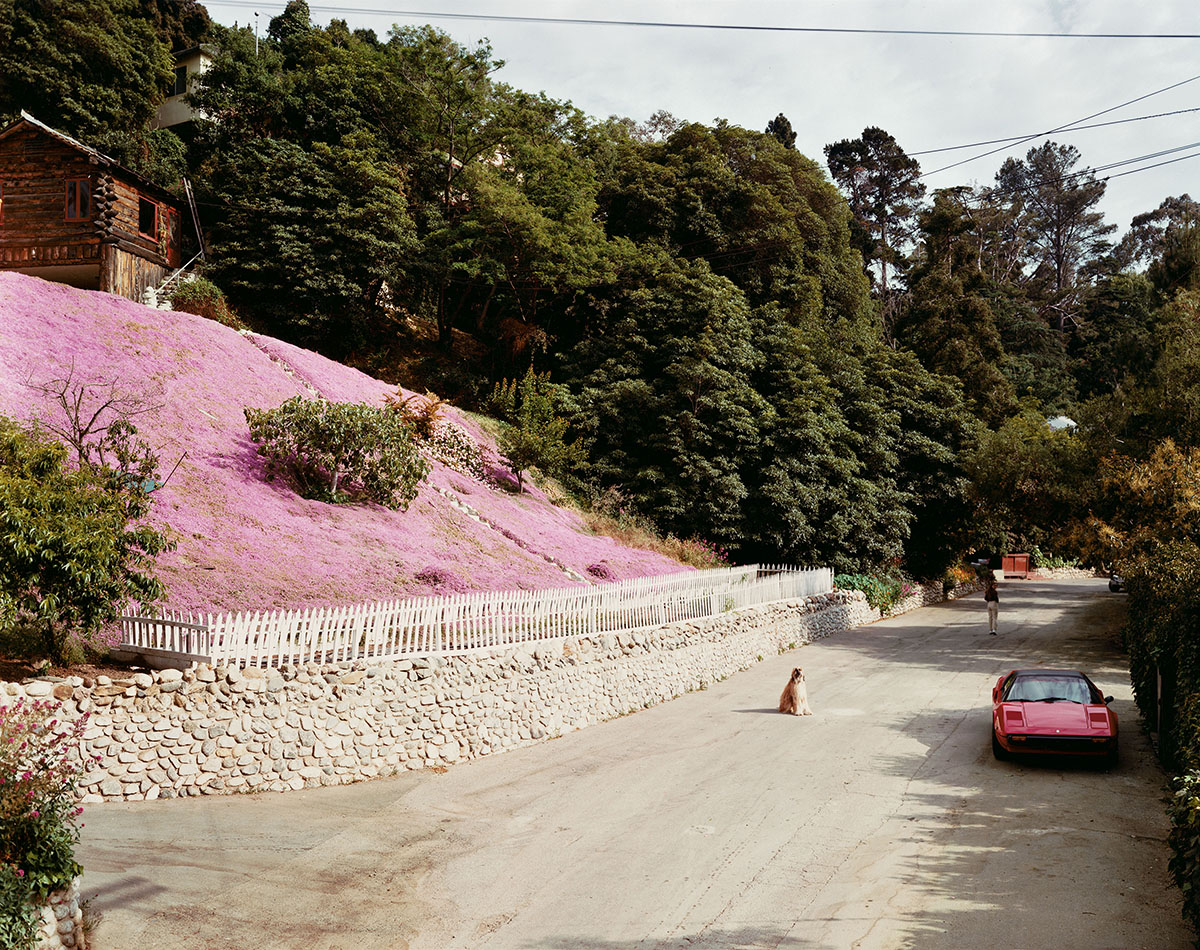 Joel Sternfeld : American Prospects - The Eye of Photography Magazine