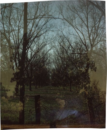 JOHN CHIARA Clark Street at Shufordville Road, 2018 Photographie unique sur du papier Fujiflex Crystal Archive 33 x 27.25 inches / 82,5 x 68 cm Signé et daté au verso © John Chiara / Galerie Miranda
