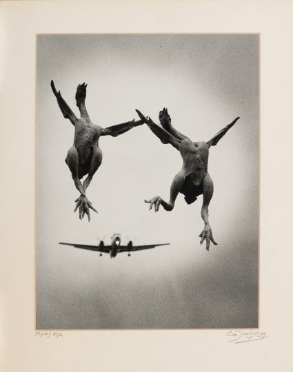 Cor Jaring (1936 - 2013) Lot 362: Flying chicken, iconic photomontage by Cor Jaring