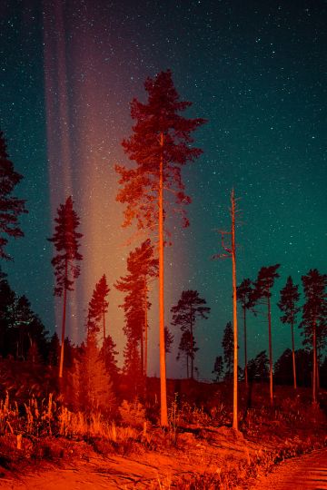 Heavenly Fire #1 by Maria Lax, courtesy of Open Doors Gallery