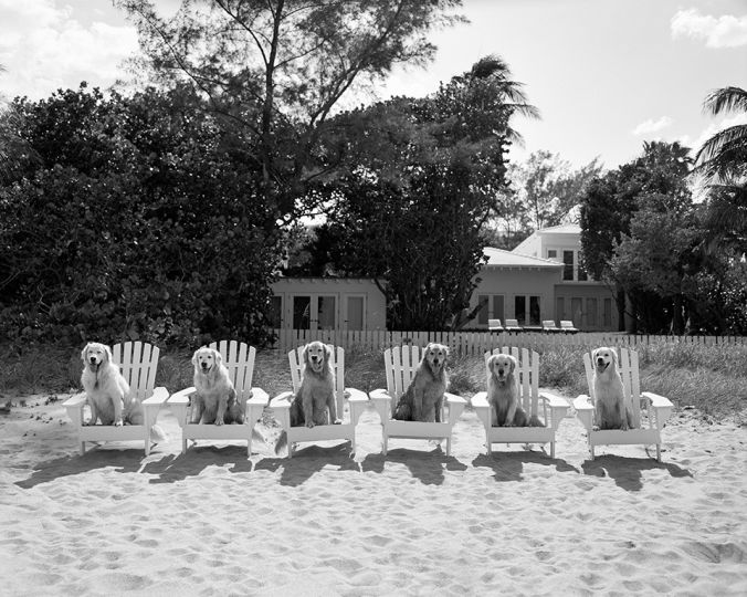 The gang, Golden Beach, Florida,
2017
© Bruce Weber