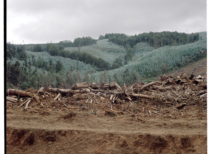 Arles 2022 : Ritual Inhabitual : Geometric Forests : Struggles on Mapuche Land