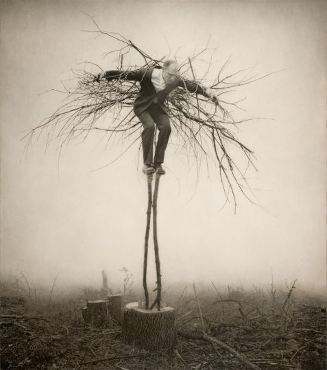 Guardian 2003 © Robert and Shana ParkeHarrison