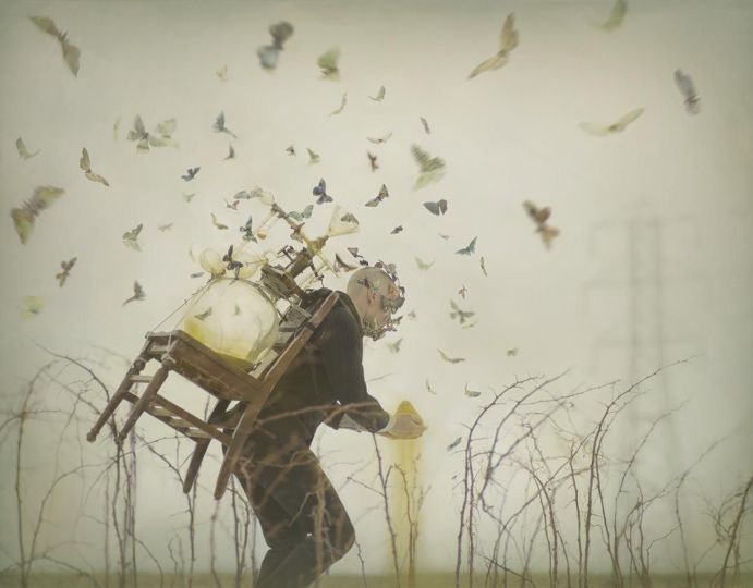 Logic of Spring 2015 © Robert and Shana ParkeHarrison