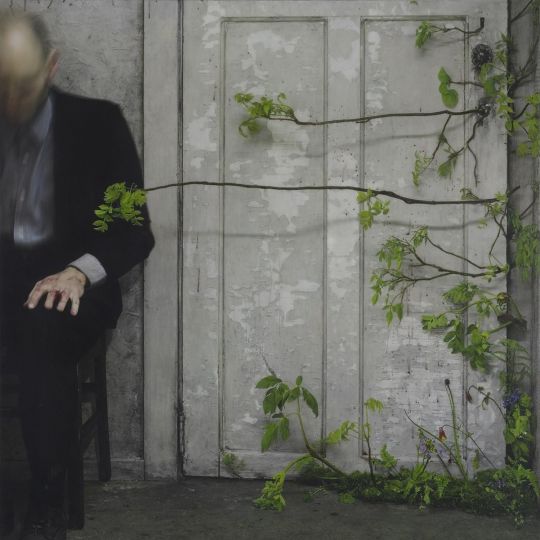 Undergrowth 2006 © Robert and Shana ParkeHarrison