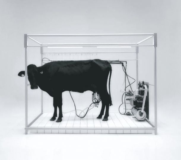 Nídia Aranha 2, Ordenha002 © Galerie Ilian Rebei