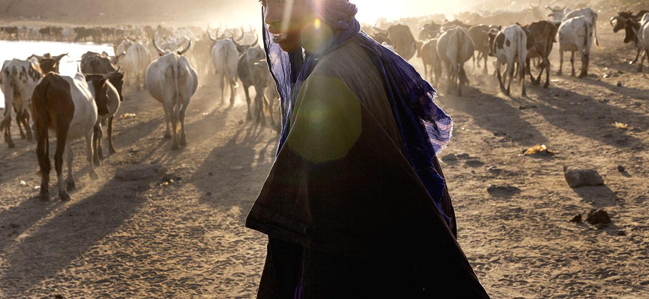 Académie des beaux-arts : Pascal Maitre : Fulani of the Sahel