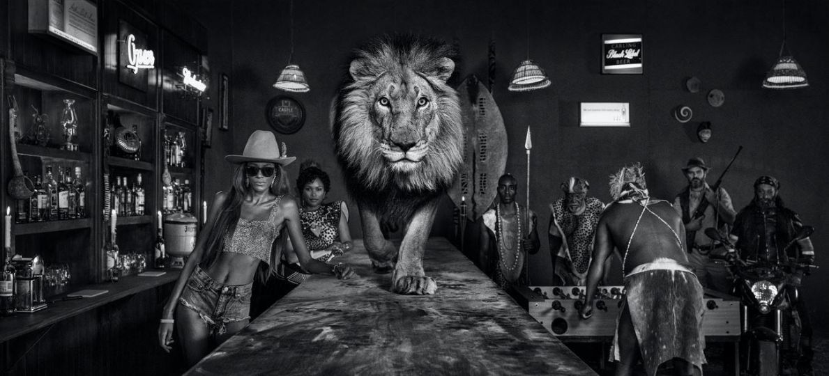 Lion Bar © David Yarrow – Courtesy Rizzoli & A.Gallerie
