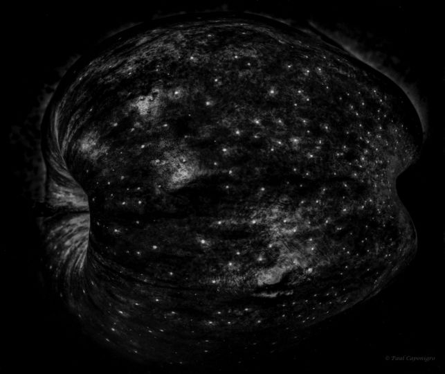 Galaxy Apple © Paul Caponigro – Courtesy of the Artist and Veritas Editions