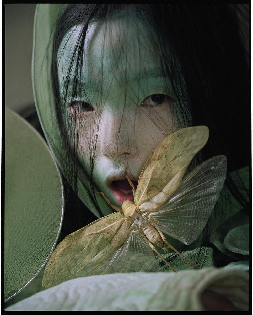 Tim Walker  Michael Hoppen Gallery