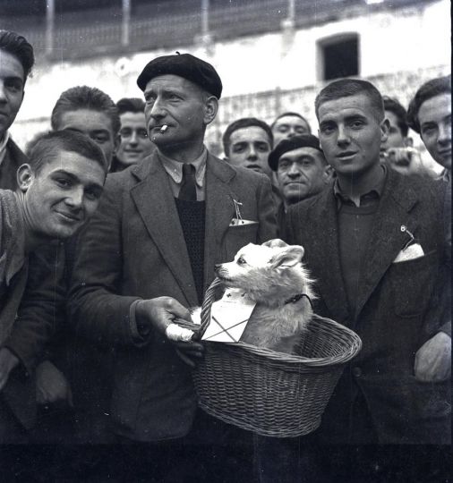 Évadés, Arènes de Malaga, Décembre 1943 © Jacques Léonard. Archives Famille Jacques Léonard/Photographic Social Vision.