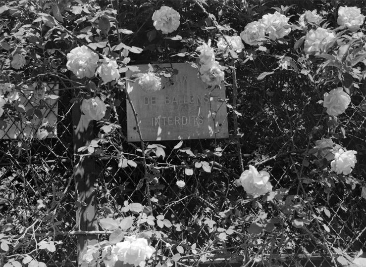 © Thomas Boivin – Courtesy of Galerie du Chateau d’Eau