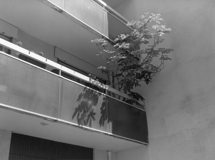 © Thomas Boivin – Courtesy of Galerie du Chateau d’Eau
