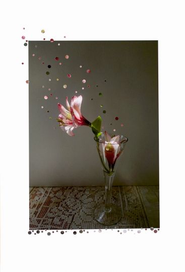© Nathalie Seaver