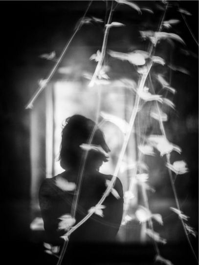 © Sarah Hadley