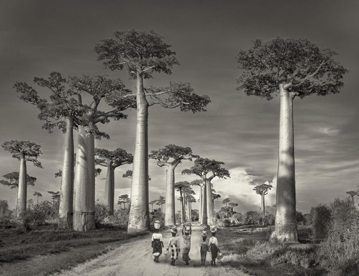 Off to market © Beth Moon
