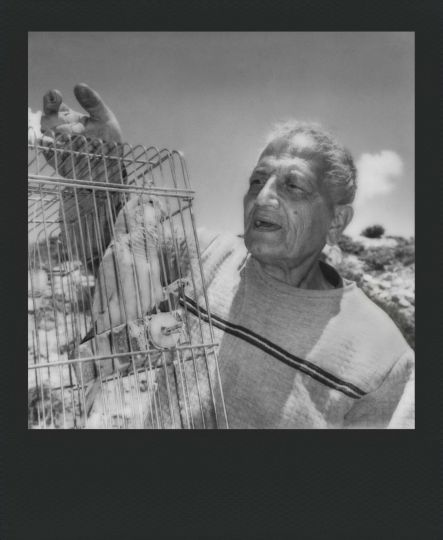 © Newsha Tavakolian / Polaroid / Magnum Photos