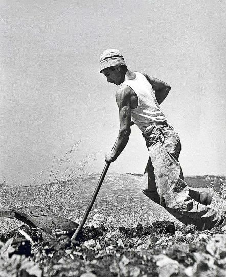 10.24 Robert Capa. A young French Jew working at a settlement, Israel, 1948-1950. 10 × 8.25 inches. Gelatin silver print. ©Robert Capa © International Center of Photography / Magnum Photos.