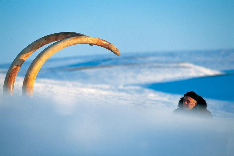 Château de Gien : Francis Latreille : Mammoth Hunters