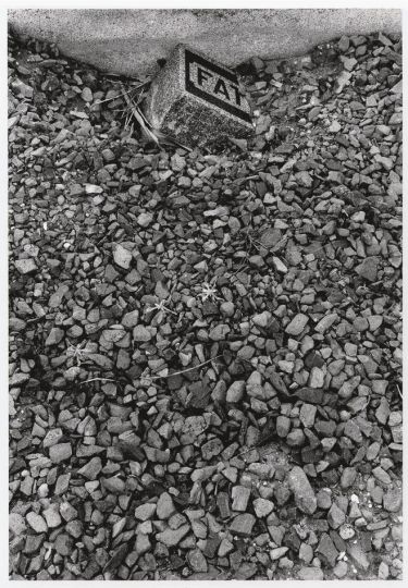 Sophie Calle, from the book 'Que faîtes-vous de vos mort', réédition 2024 © Sophie Calle / Actes Sud