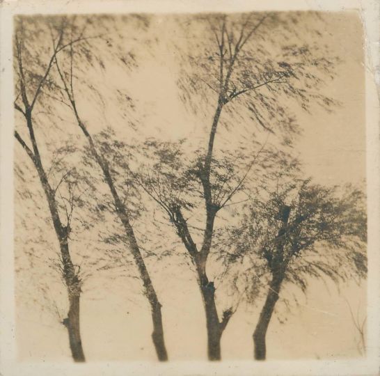 Luo Bonian, Untitled-19, 1930s-1940, Gelatin silver print, 5.9×5.9cm.Courtesy of Luo Bonian Art Foundation and Three Shadows +3 Gallery.