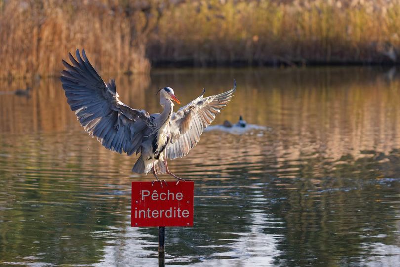 © Nicolas Davy - Courtesy Bercy Village