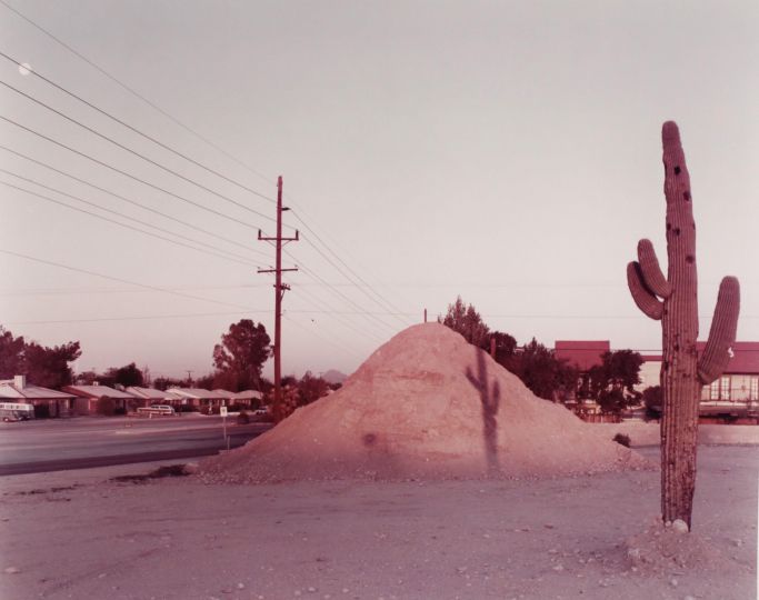 Session 1, Lot 11: STERNFELD, JOEL. CACTUS AND TELEPHONE POLE