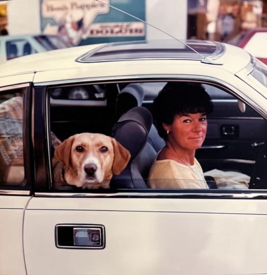 Dog in Car, Macclesfield Cheshire,1985 © Shirley Baker - Courtesy Crane Kalman Brighton 