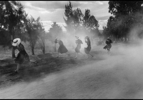 Stephen Bulger Gallery : Larry Towell – The Museum Collection