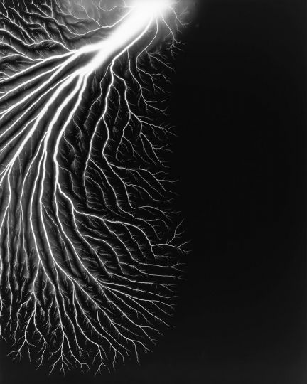 Hiroshi Sugimoto - “Talbotized 001,” 2012. Gelatin silver print from a photogram, 149.2 x 119.3 cm - Courtesy Hans P. Kraus Jr. Fine Photographs