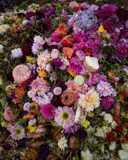 Cig Harvey - Cake and Dahlias, Camden, Maine, 2023 .Archival pigment print © Cig Harvey, Courtesy Robert Mann Gallery