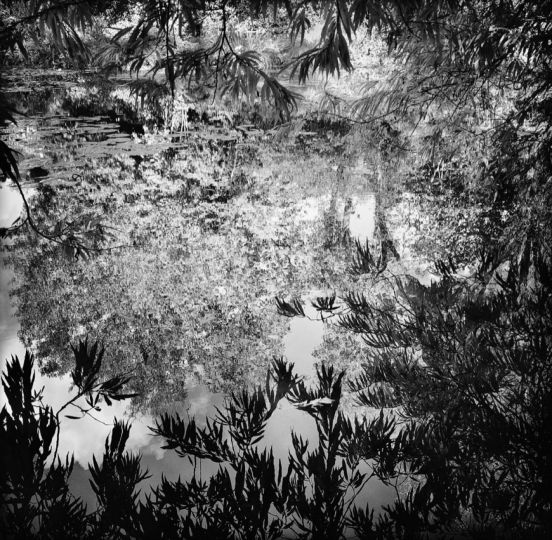 Une certaine nature, d'après Giverny, Sans titre #22 © Jean Gaumy courtesy galerie Sit Down