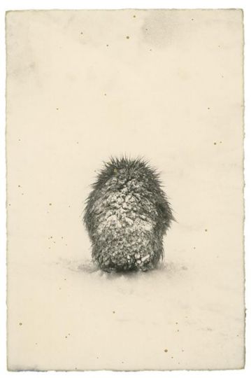 # 1739 Tirage argentique réalisé par l'artiste 17,1 x 11,2 cm © Yamamoto Masao