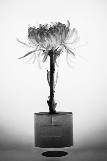 Photography Book - Harry Gruyaert: East / West