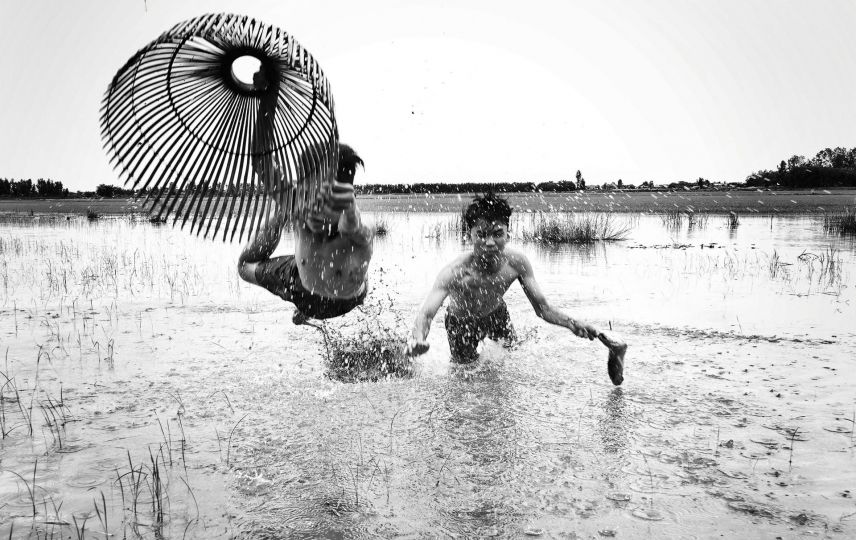 Chang Jiangbin, Net fish in Water Fields © World Food Photography Awards sponsored by Tenderstem® Bimi®