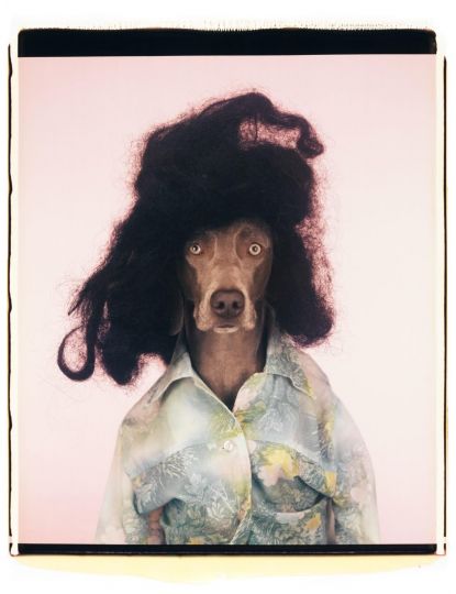William Wegman, Ionian, 2005 © William Wegman. Courtesy of Galeria Alta.
