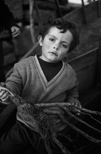 © Gérard Fourel